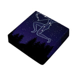 Sagittarius Constellation Print Outdoor Seat Cushion Cover