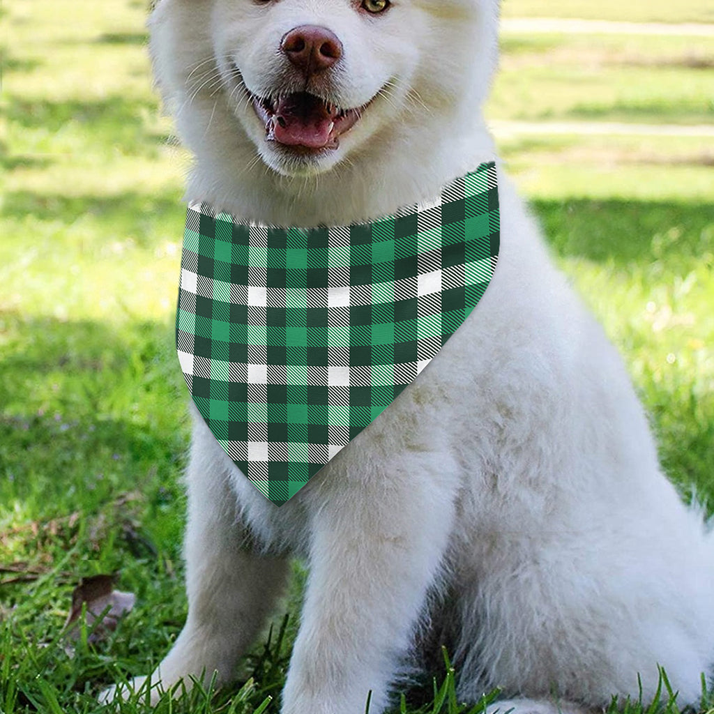 Saint Patrick's Day Stewart Plaid Print Over The Collar Dog Bandana