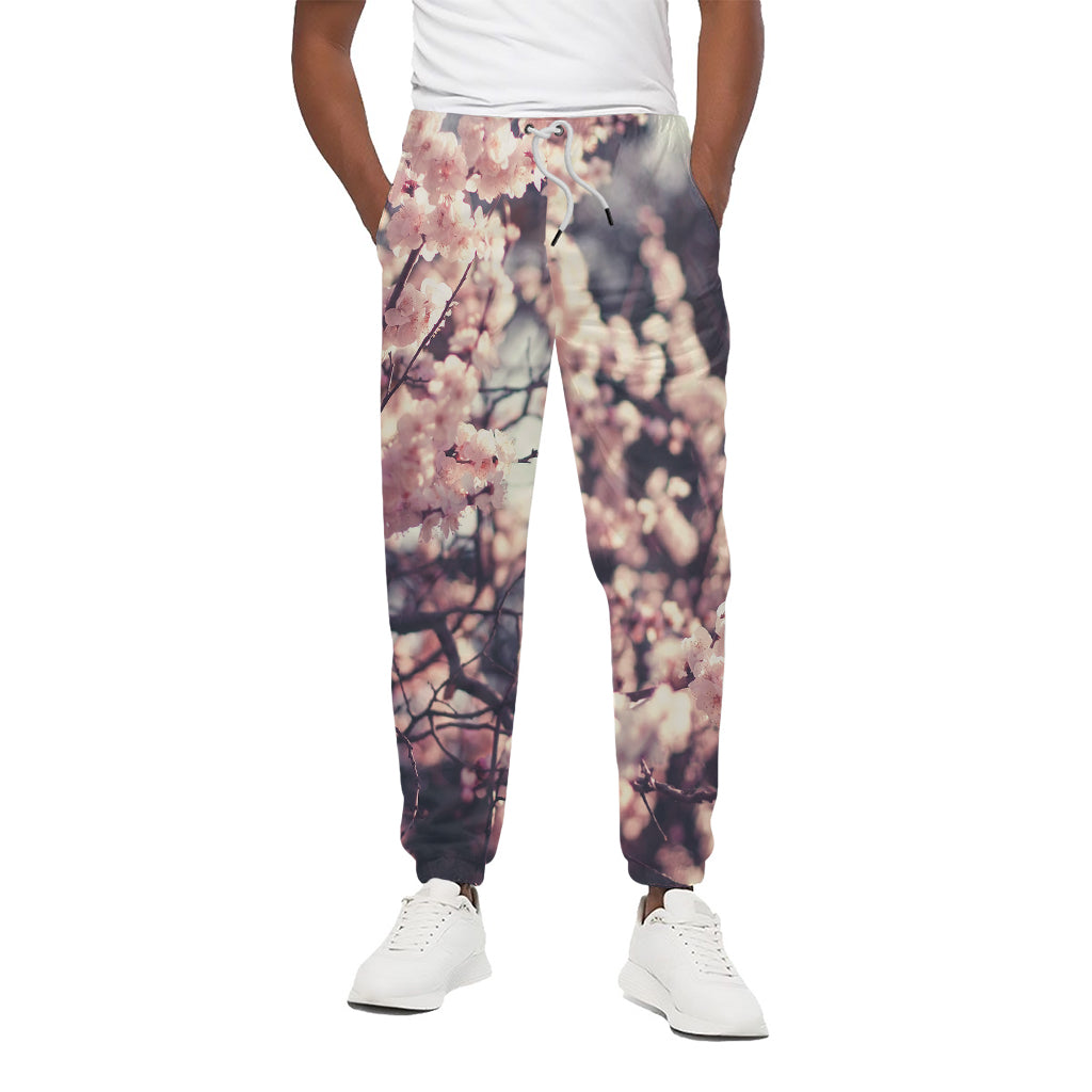 Sakura Cherry Blossom Print Cotton Pants