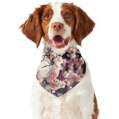 Sakura Cherry Blossom Print Dog Bandana