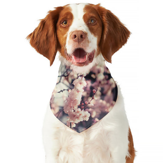 Sakura Cherry Blossom Print Dog Bandana