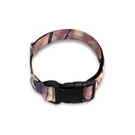Sakura Cherry Blossom Print Dog Collar