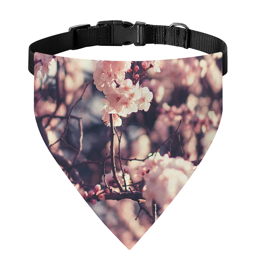 Sakura Cherry Blossom Print Over The Collar Dog Bandana