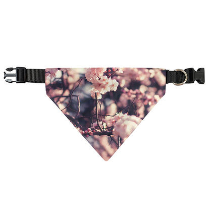 Sakura Cherry Blossom Print Over The Collar Dog Bandana