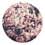 Sakura Cherry Blossom Print Round Blanket
