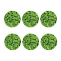 Salad Vegetable Print Coaster Set