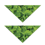 Salad Vegetable Print Dog Bandana
