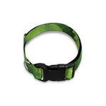 Salad Vegetable Print Dog Collar