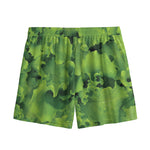 Salad Vegetable Print Mesh Shorts