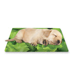 Salad Vegetable Print Pet Cooling Mat Cover