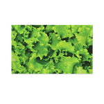 Salad Vegetable Print Polyester Flag