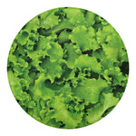 Salad Vegetable Print Round Blanket