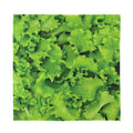 Salad Vegetable Print Silk Bandana