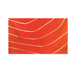 Salmon Artwork Print Polyester Flag
