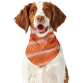 Salmon Fillet Print Dog Bandana