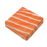 Salmon Fillet Print Outdoor Seat Cushion Cover