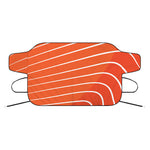 Salmon Print Car Windshield Snow Cover