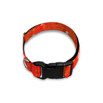 Salmon Roe Print Dog Collar