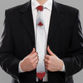 Santa Claus Beard Print Necktie