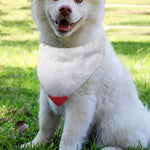 Santa Claus Beard Print Over The Collar Dog Bandana