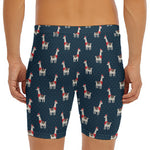 Santa Claus Llama Xmas Pattern Print Men's Long Boxer Briefs