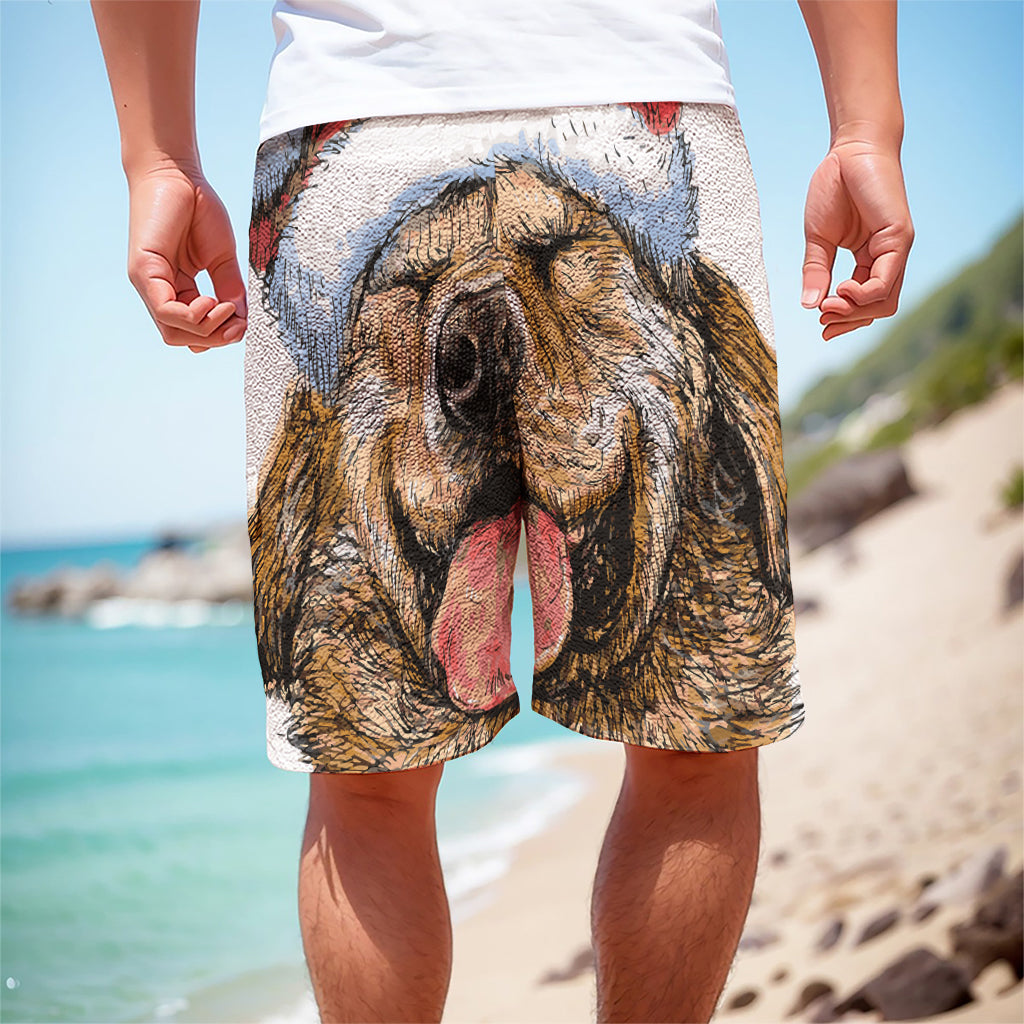 Santa Labrador Retriever Print Men's Cargo Shorts