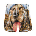 Santa Labrador Retriever Print Men's Athletic Shorts