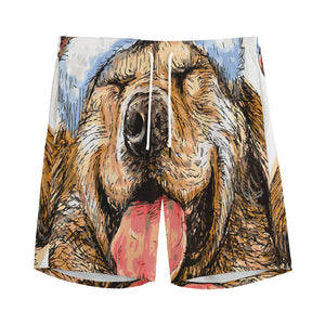 Santa Labrador Retriever Print Men's Sports Shorts