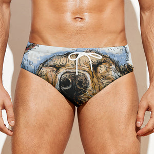 Santa Labrador Retriever Print Men's Swim Briefs