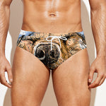 Santa Labrador Retriever Print Men's Swim Briefs