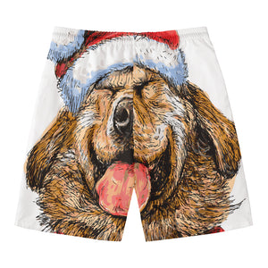 Santa Labrador Retriever Print Men's Swim Trunks