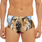 Santa Labrador Retriever Print Men's Triangle Swim Briefs