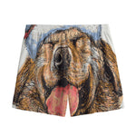 Santa Labrador Retriever Print Mesh Shorts