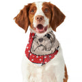 Santa Shih Tzu Print Dog Bandana