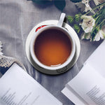 Santa Shih Tzu Print Leather Coaster Set