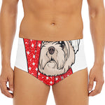Santa Shih Tzu Print Men's Triangle Swim Briefs