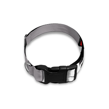Santa Siberian Husky Print Dog Collar