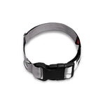 Santa Siberian Husky Print Dog Collar