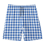 Sapphire Blue Check Pattern Print Men's Swim Trunks