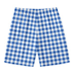 Sapphire Blue Check Pattern Print Men's Swim Trunks
