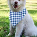 Sapphire Blue Check Pattern Print Over The Collar Dog Bandana