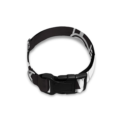 Satan Goat Skull Pentagram Print Dog Collar