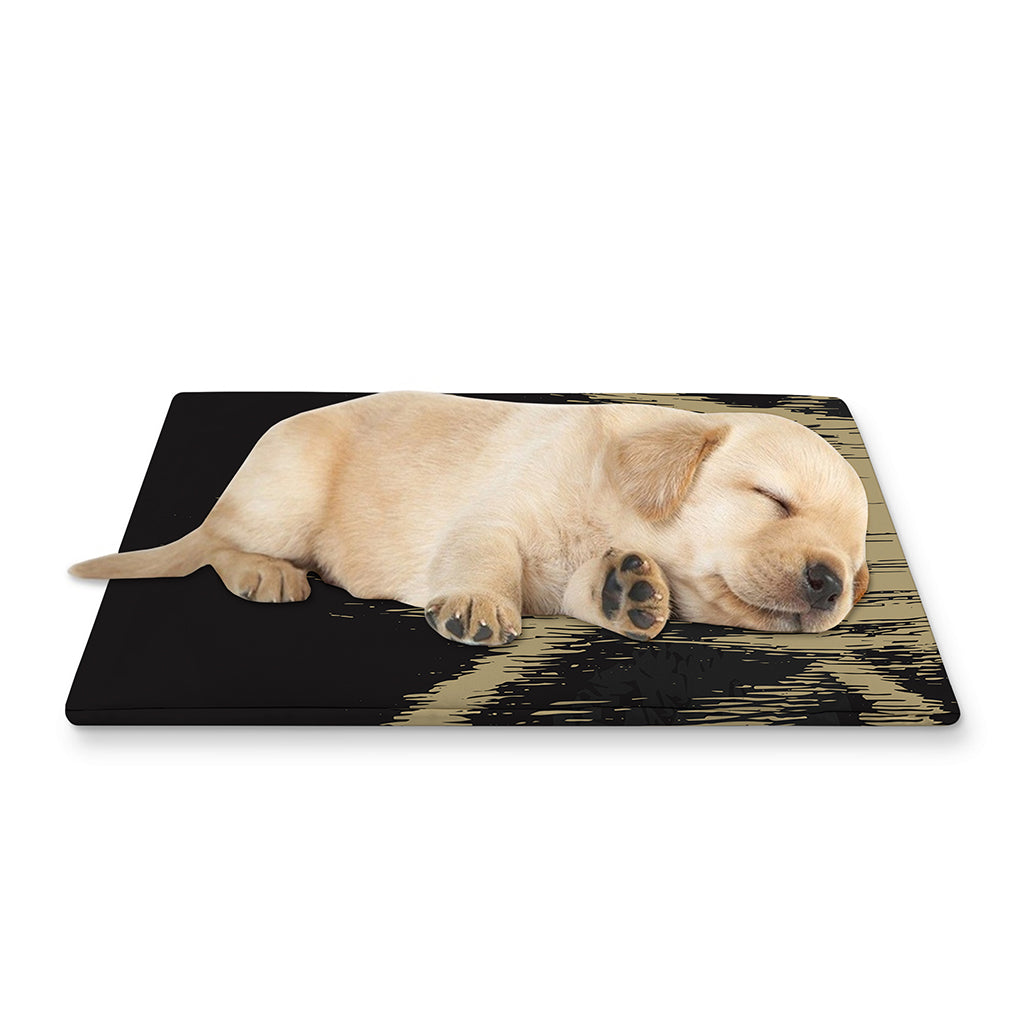 Satanic Pentagram Skull Print Pet Cooling Mat Cover