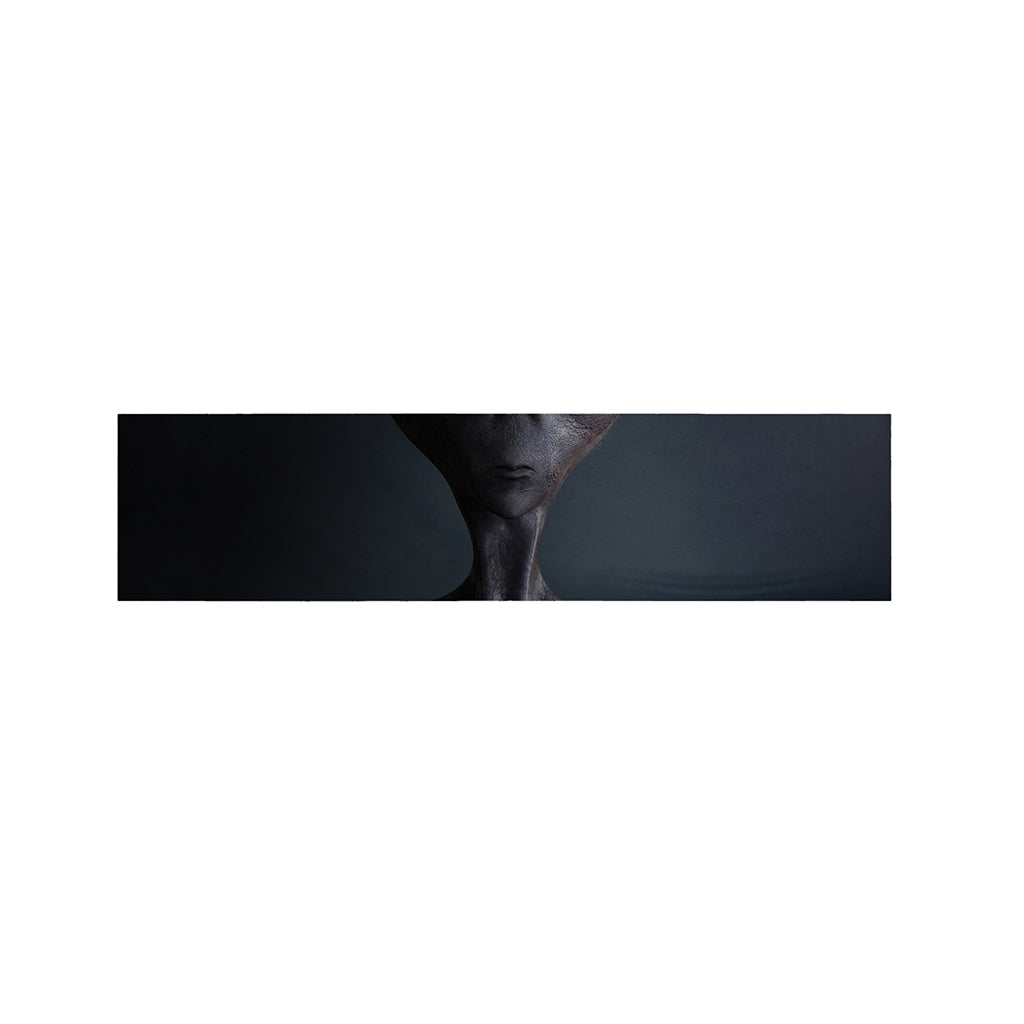 Scary Grey Alien 3D Print Bed Runner