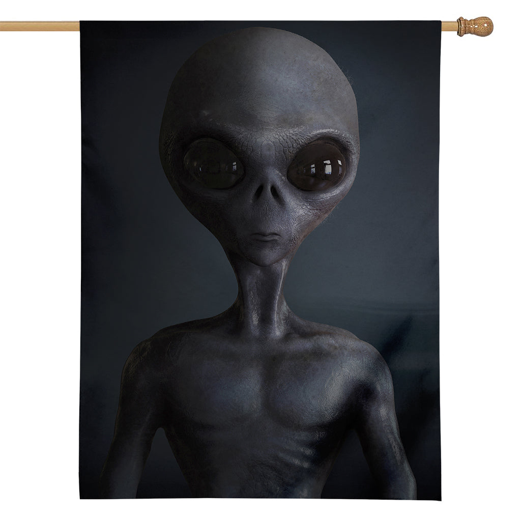 Scary Grey Alien 3D Print House Flag