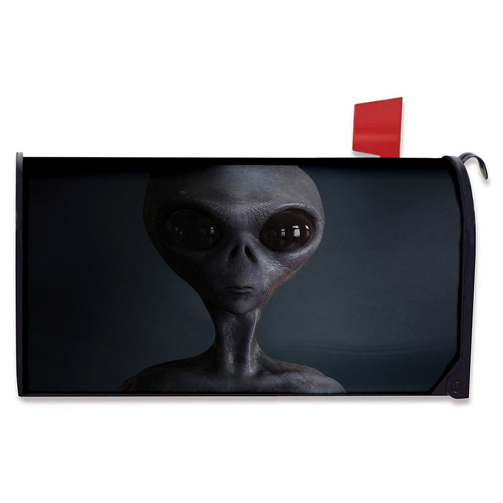 Scary Grey Alien 3D Print Mailbox Cover