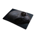 Scary Grey Alien 3D Print Pet Cooling Mat Cover