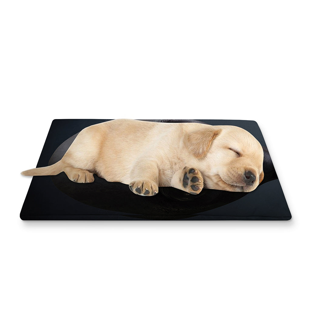 Scary Grey Alien 3D Print Pet Cooling Mat Cover