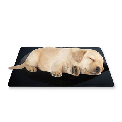 Scary Grey Alien 3D Print Pet Cooling Mat Cover
