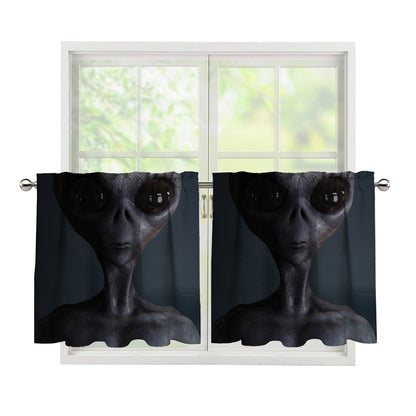 Scary Grey Alien 3D Print Tier Curtains
